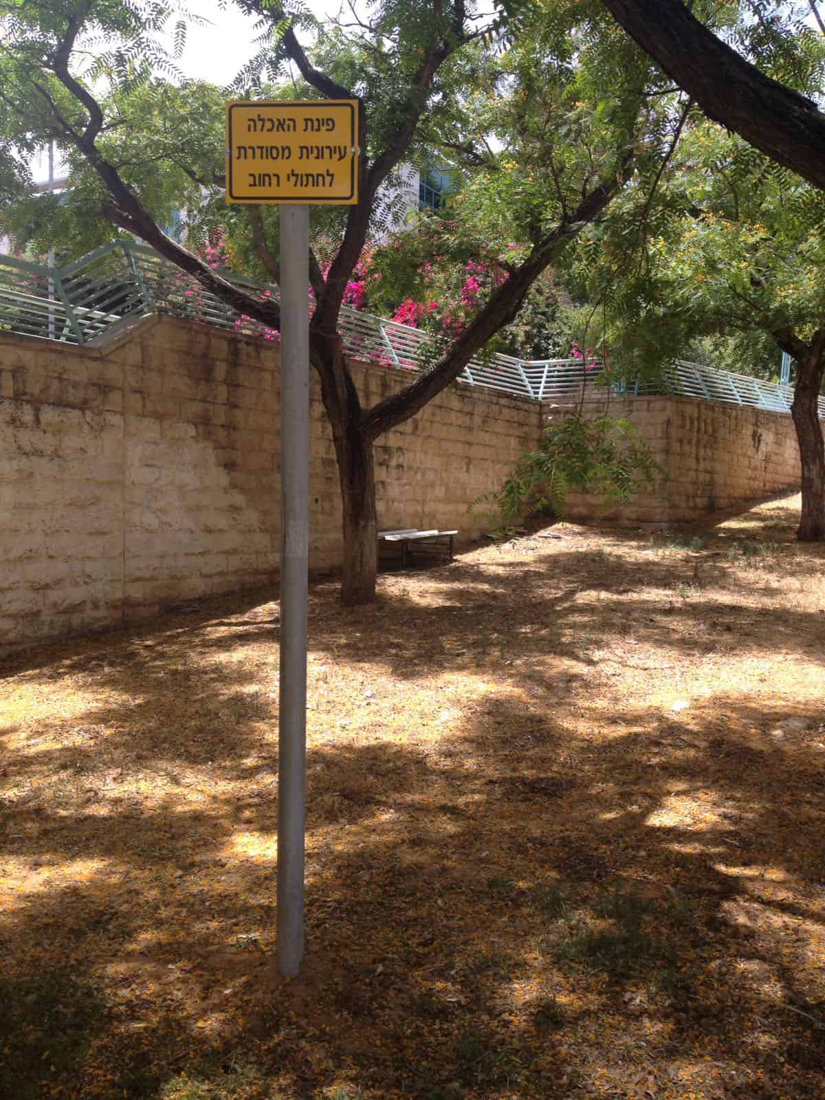 פינת האכלה לחתולים בבת ים